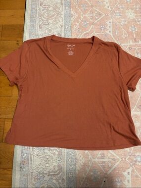 American Eagle Outfitters Women's V-Neck Ribbed Tee in Rust